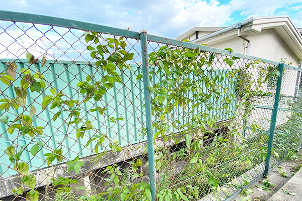 ツネマツガス_歩道橋清掃_5